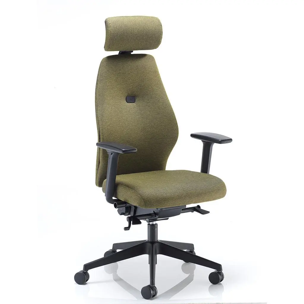 Bearing ergonomic office chair with tri-curved backrest and adjustable lumbar pump