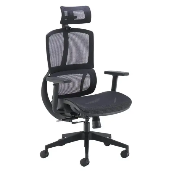 Alto ergonomic mesh office chair with high back and adjustable arms
