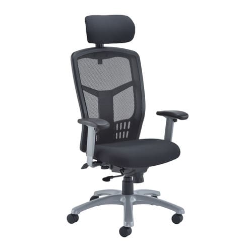 Fonz mesh back ergonomic office chair with headrest and adjustable armrests