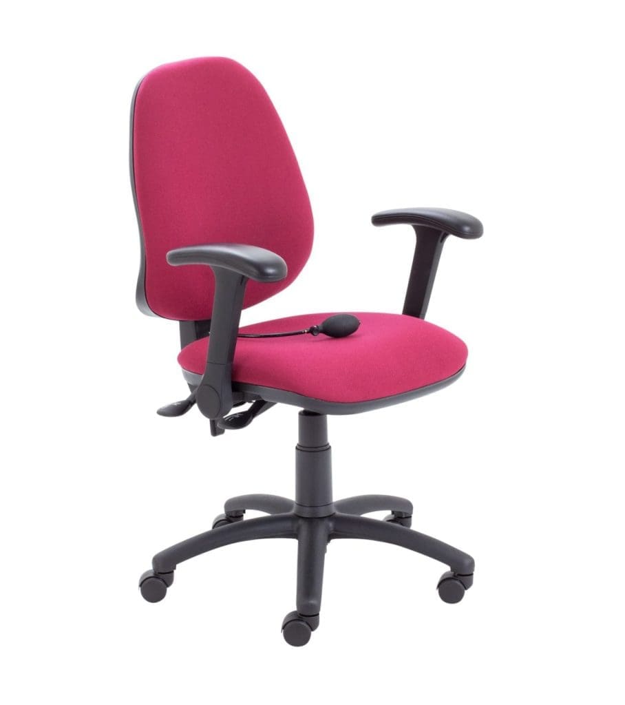 Calypso Ergo Office Chair with high back, inflatable lumbar support, and black swivel base