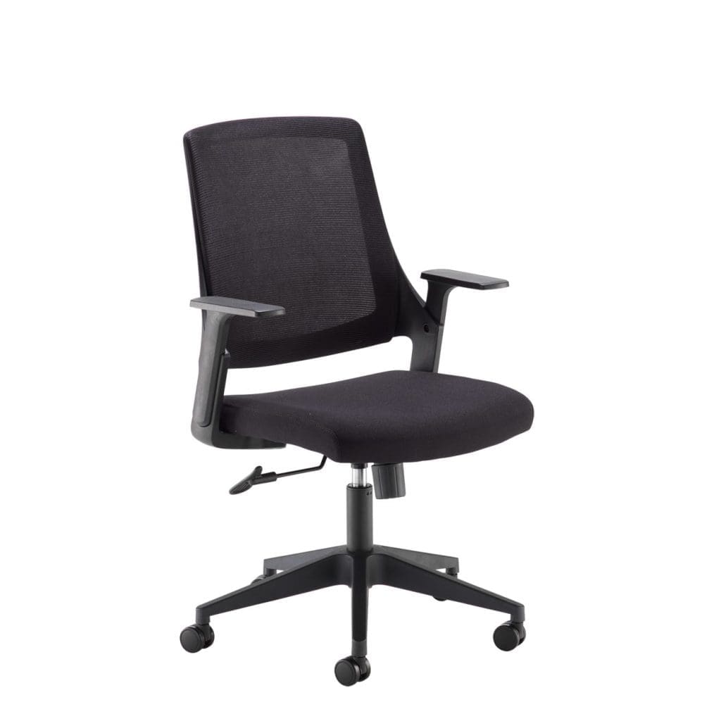 Duffy mesh office chair with black fabric seat and adjustable arms