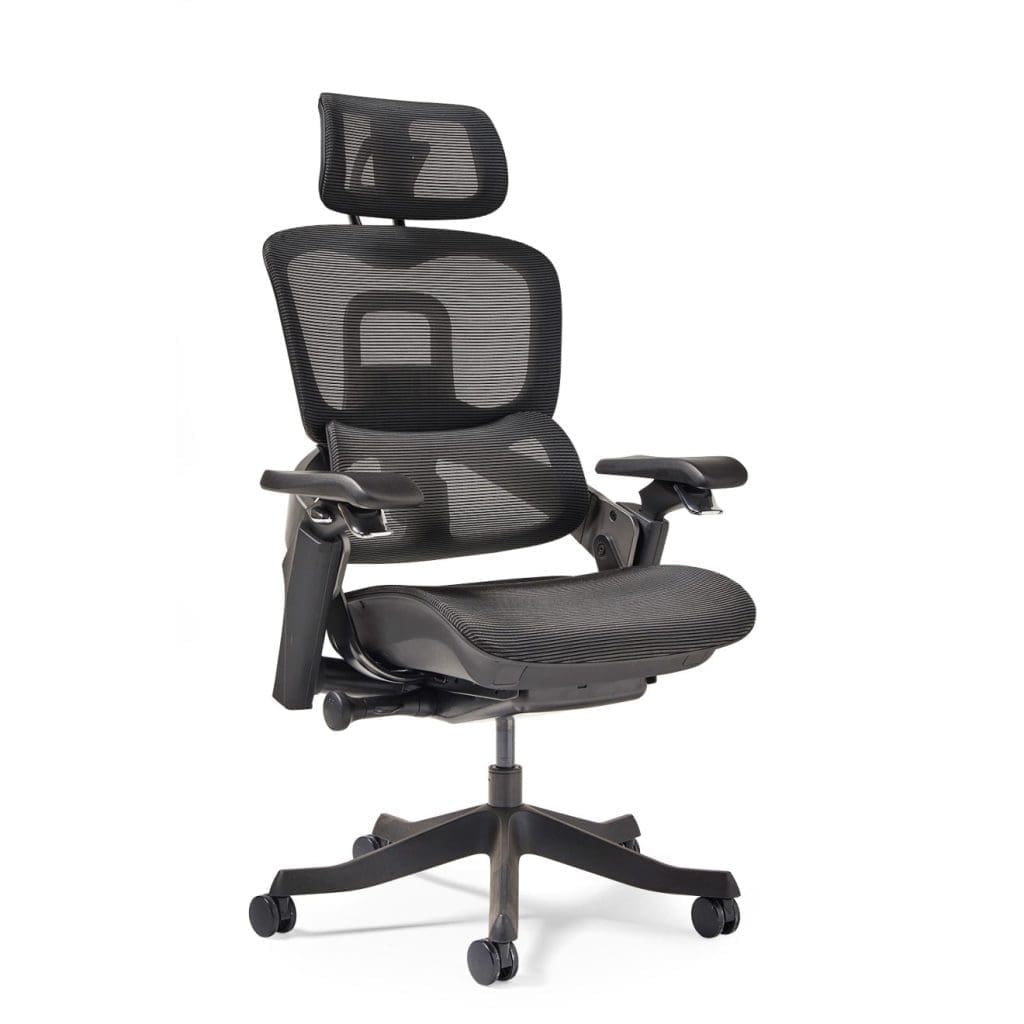 Lyra Ergonomic Task Chair with mesh back, paddle controls and adjustable headrest