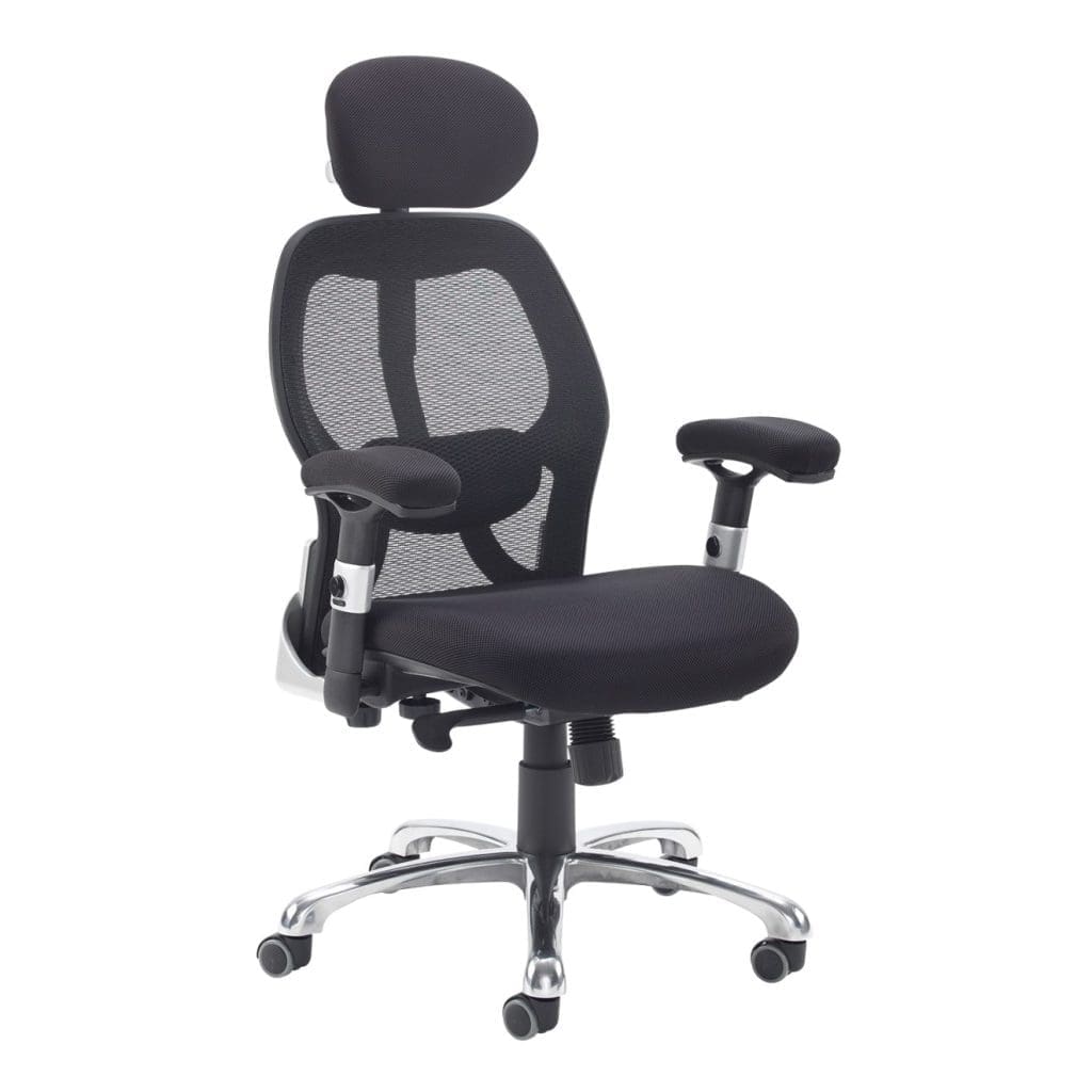 Sandro mesh managers chair with headrest, chrome base, and ergonomic lumbar support