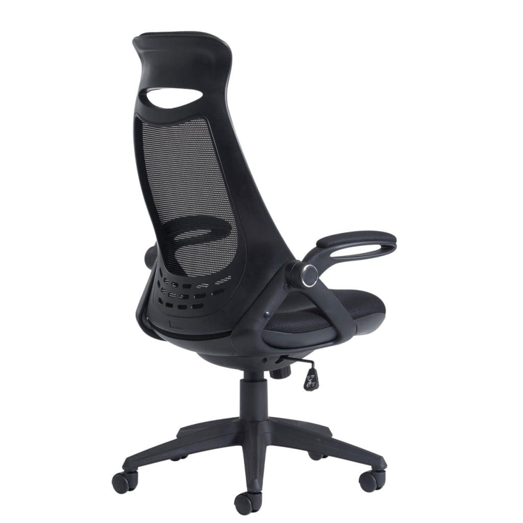 Tuscan mesh high back chair with head support - Image 2