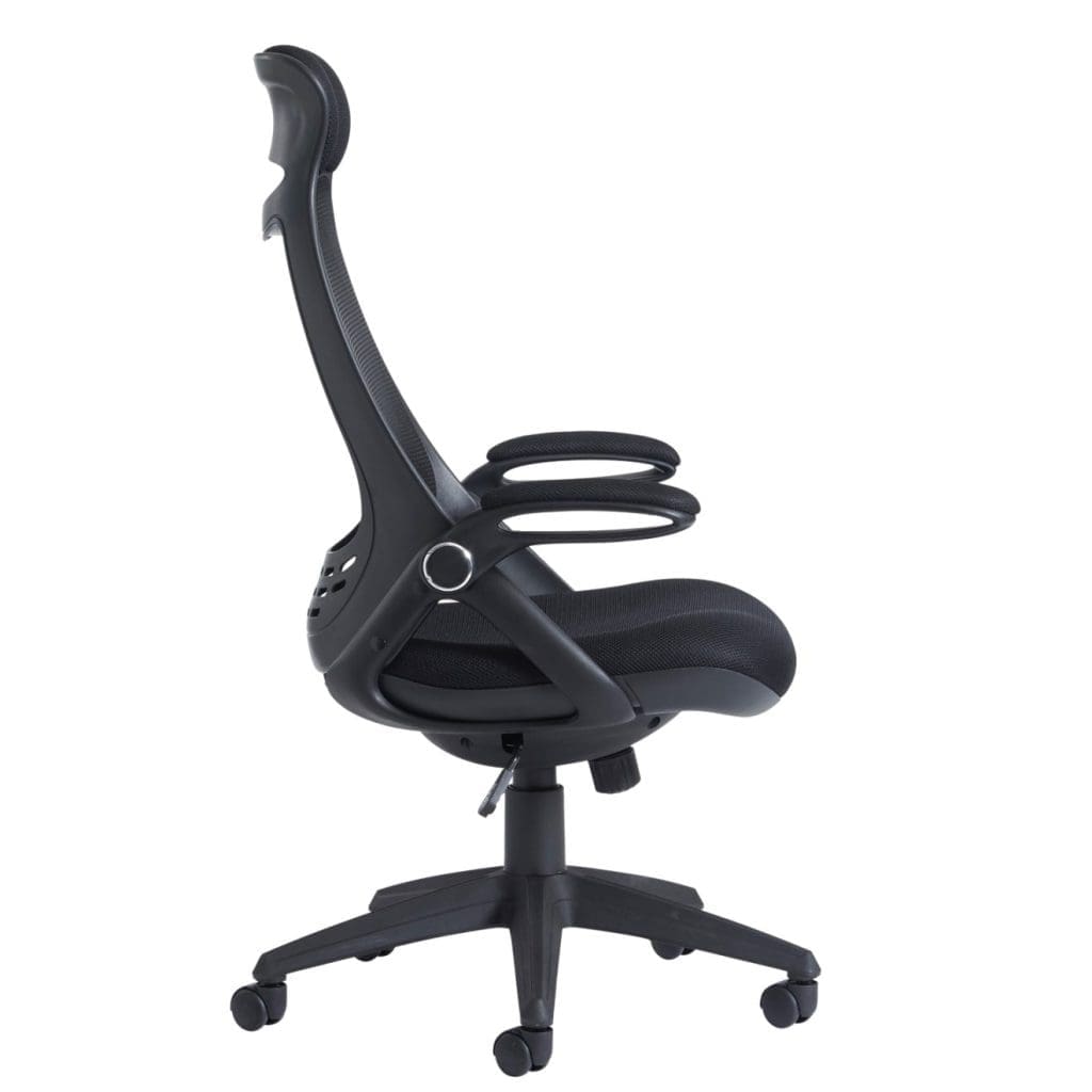 Tuscan mesh high back chair with head support - Image 3