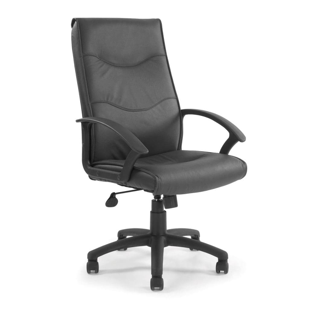 High Back Leather Executive Chair with lumbar support, tilt function, and black nylon base in office
