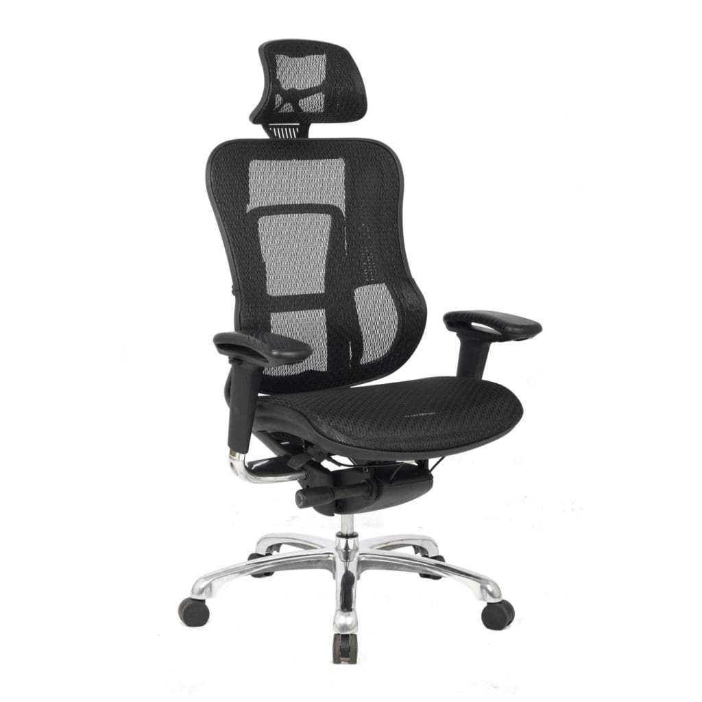 High back mesh executive chair with adjustable headrest and polished aluminium base